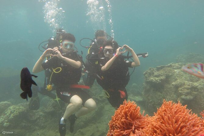 Snorkeling - Fishing – BBQ at Mini Beach Nha Trang Tour - Tour Highlights