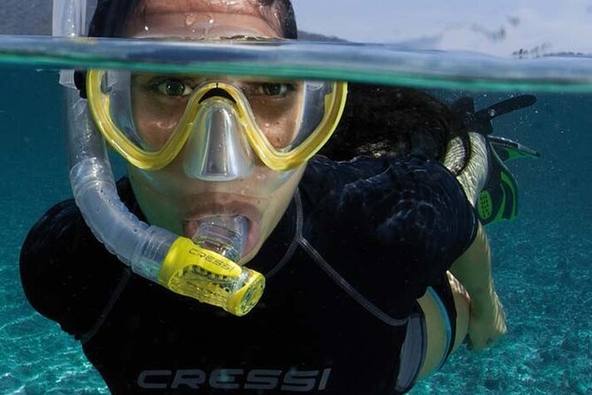 Snorkeling Trip to Fujairah on the UAEs East Coast - Use of Snorkeling Equipment