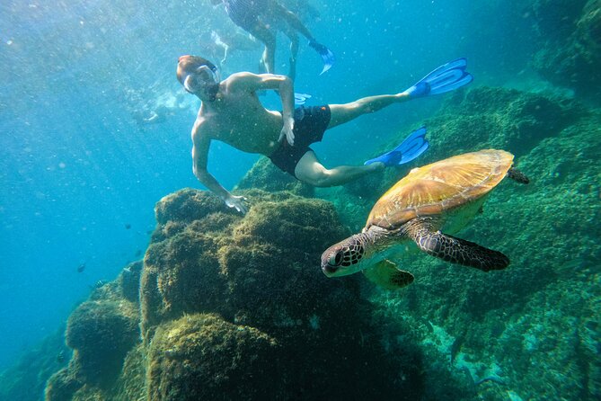 Snorkeling With Turtles in Fujairah With BBQ Lunch - Traveler Photos and Reviews