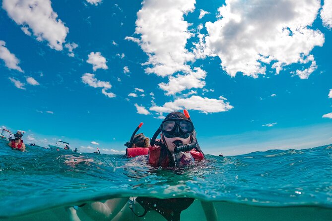 Snorkelling Experience in Leranto Bay - Traveler Photos