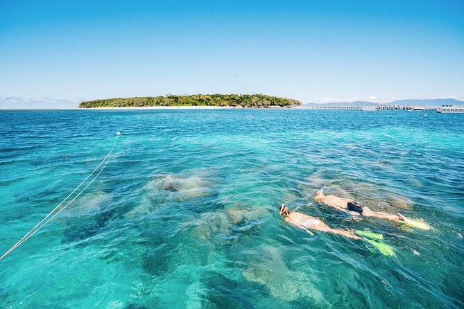 Snorkelling or Glass Bottom Boat at Green Island From Cairns - Tour Overview