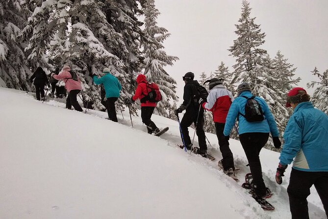Snowshoe Hiking in Chamonix, a Winter Wonderland - Discover the Beauty of Chamonix