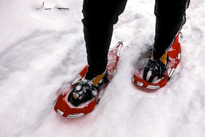 Snowshoe OR Cross Country Ski Tours in Glacier National Park - Fitness Level and Experience Requirements