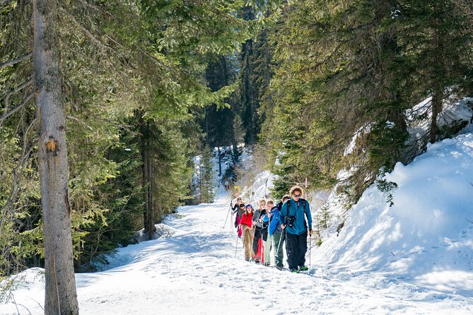 Snowshoe Tour Wetterhorn Grindelwald - Additional Information