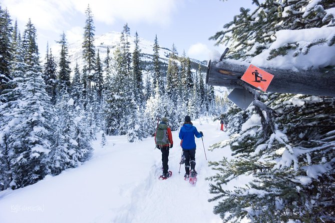 Snowshoeing in Kananaskis - Overview