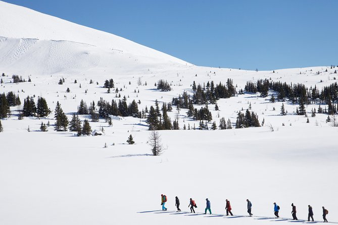 Snowshoeing Tour From Baniff  - Banff - End Point and Transportation