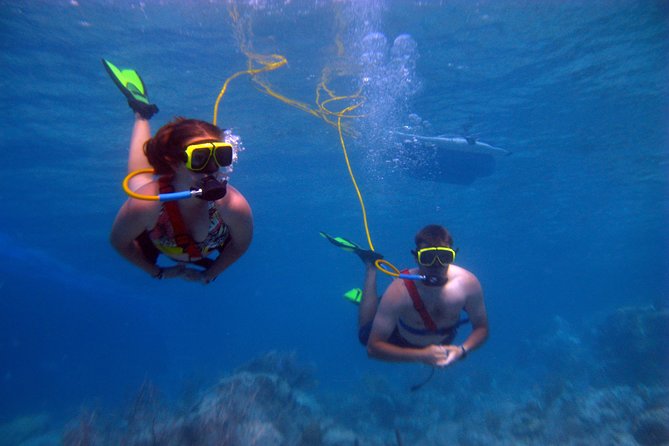 Snuba Adventure at Coral World Ocean Park - Additional Attractions at Coral World Ocean Park
