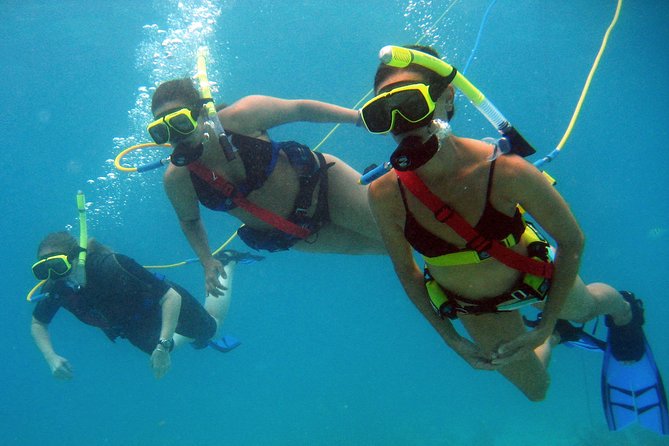Snuba Adventure at Coral World Ocean Park - Meeting and Pickup Details