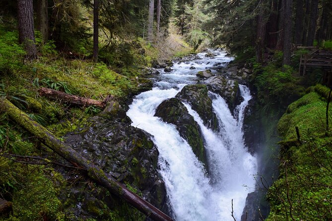Sol Duc, Lake Crescent, and Hurricane Ridge Guided Tour in Olympic National Park - Cancellation Policy