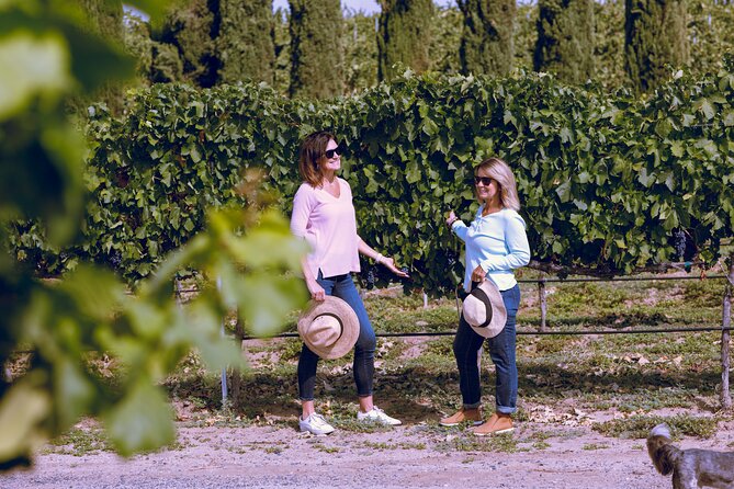 Sonoma Wine Tasting Tour  - Napa & Sonoma - Good To Know