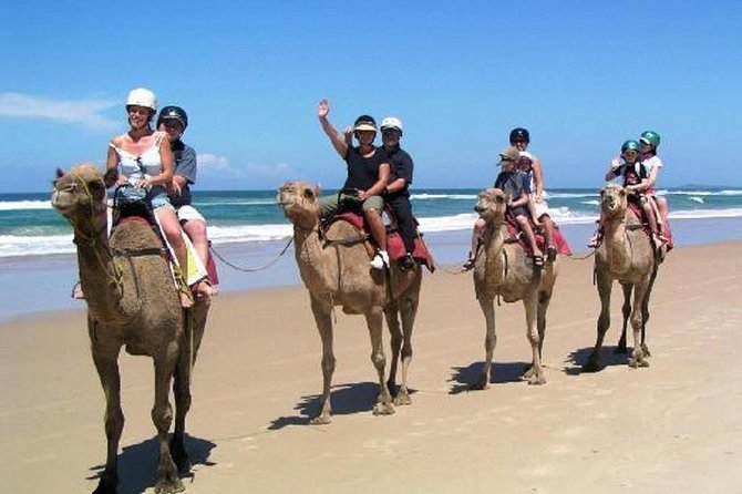 South Coast Tour With Camel Ride in Qatar - Scenic South Coast Views