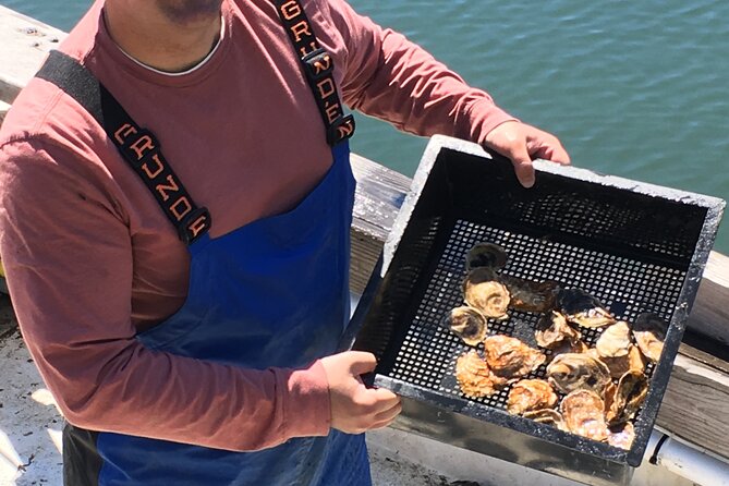 Southold Bay Oyster Farm Tour - Oyster Tasting Experience