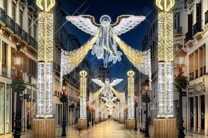 Special Christmas Lights. Night Tour in Malaga by Electric Car. - Traveler Photos and Inspiration