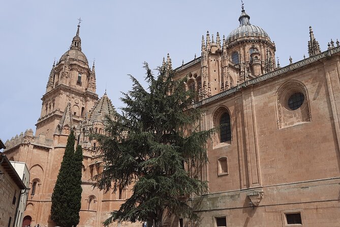 Special Private Tour for Families With Children in Salamanca - Meeting and Pickup