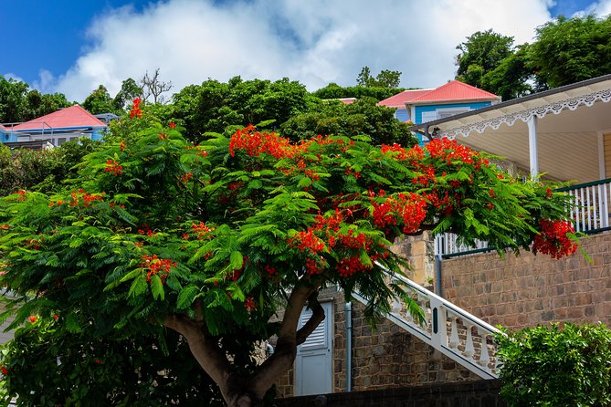 St Barts Daytrip From St Maarten - Trip Experience and Feedback