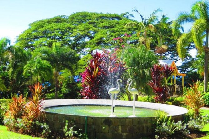 St Kitts Island Tour (Reconfirm Ship or Hotel) - What to Expect