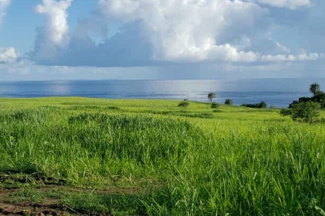 St Kitts Rainforest Nature Tour - Meeting and Pickup Information
