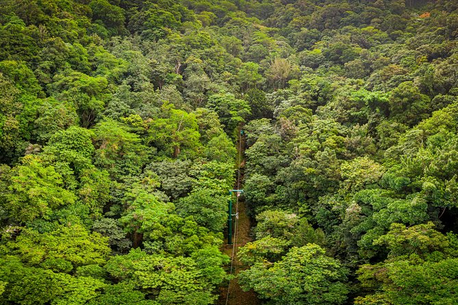 St. Lucia Aerial Tram Tour at Rainforest Adventures - Feedback on Staff and Customer Service