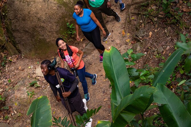 St Lucia Jacquot Trail Hike at Rainforest Adventures - Additional Information and Requirements