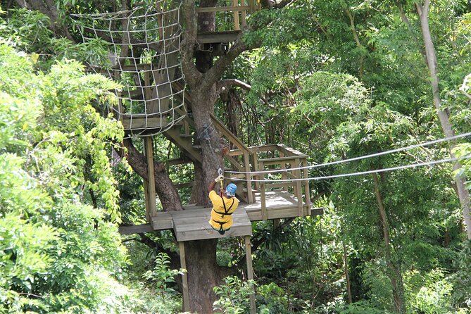 St. Lucia Morne Coubaril Estate Zipline Experience - The Sum Up