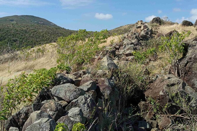 St.Martin - St. Maarten: Small Group, Coastal Hike & Swim Tour - Reviews