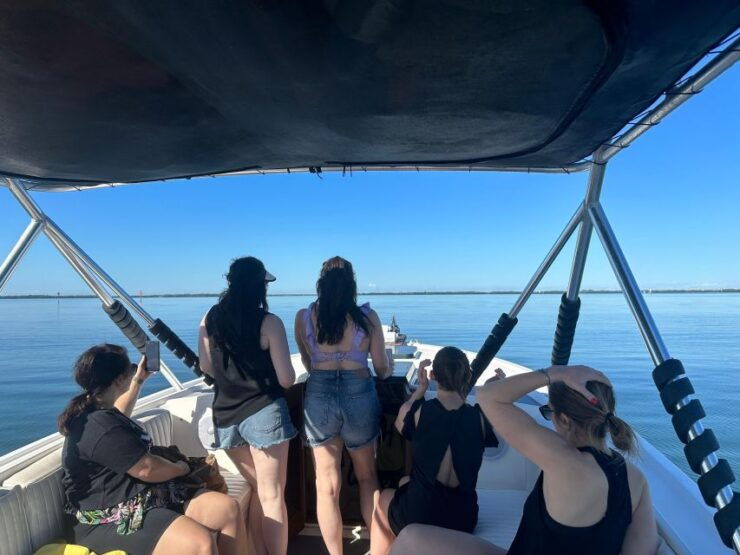 St Petersburg, FL: 3 Hour Islands Hopping Eco Tour - Experience Highlights and Benefits