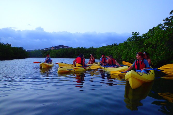 St Thomas Night Kayak Tour - Additional Information