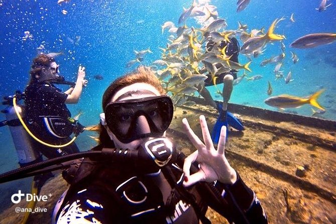 St. Thomas PADI, SSI, SDI Open Water Scuba Diving Certificate  - St Thomas - Requirements and Restrictions