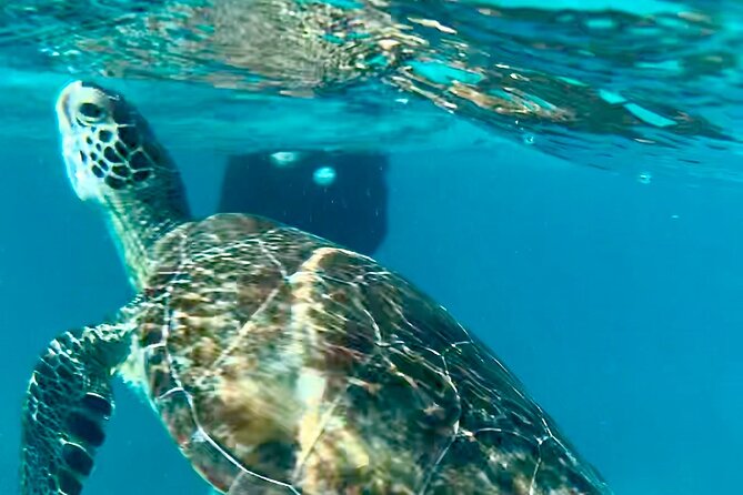 St Thomas Small-Group Half-Day Snorkel Tour - Tour Overview and Details