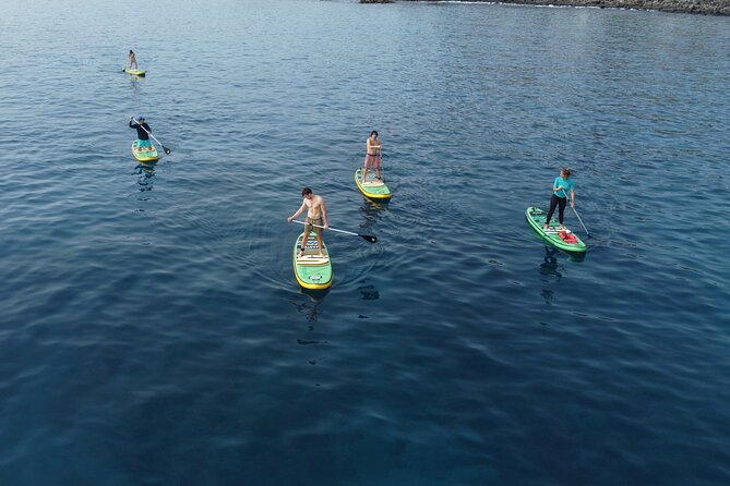 Stand up Paddle and Snorkeling Lesson in Playa Blanca - Transportation and Traveler Requirements