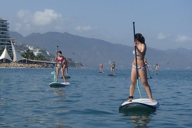 Stand-Up Paddle Board Lesson in Puerto Vallarta - Activities Included in the Lesson