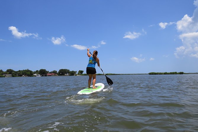 Stand Up Paddle Board Rental in Rose Bay - Pricing and Booking Options