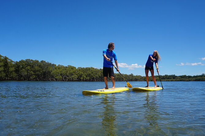 Stand-Up Paddle Board Tour in Byron Bay - What to Expect