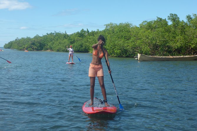 Stand up Paddle in Paradise - Health Benefits of Stand up Paddling