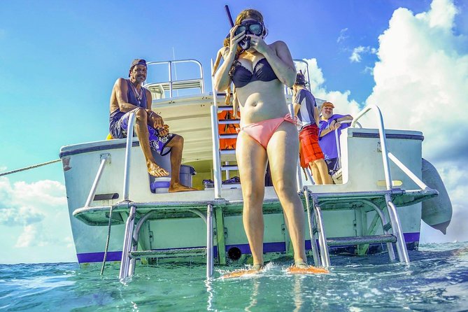 Starfish Point, Stingray City-Sandbar & Coral Gardens - Reviews and Ratings