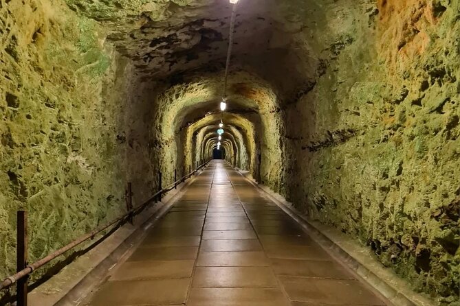 Stevns Klint World Heritage and Stevnsfort Day Tour in Copenhagen - Cancellation Policy and Refunds