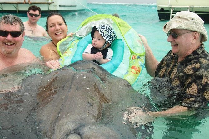 Stingray City, Snorkeling at Coral Gardens or Barrier Reef  - Grand Cayman - Viator - Trusted Tour Provider