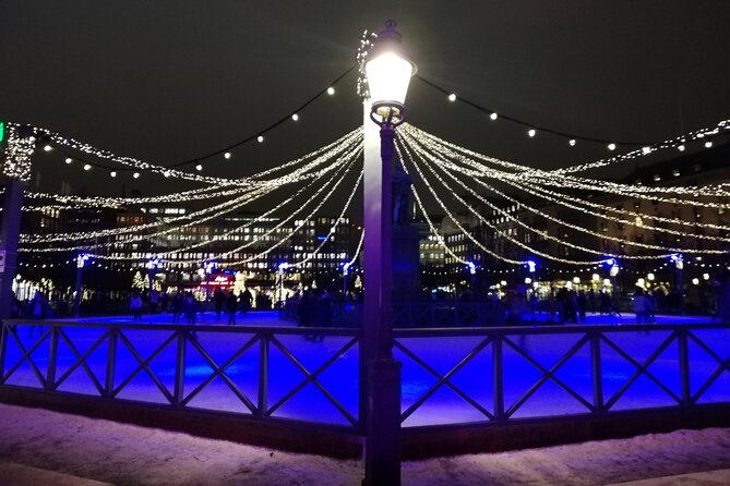 Stockholm Christmas Tour and Food Experience - Inclusions