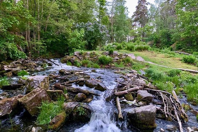 Stockholm Eco-Friendly Sunset Hike And Wildlife Spotting - Meeting Point