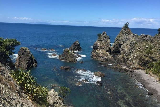 Stunning Auckland East Coast Walk & Wine Private Tour - Wine Tasting Experience