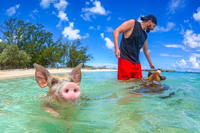 Suncay Swimming Pigs Adventure With Lunch at Pigs Beach - Booking and Information