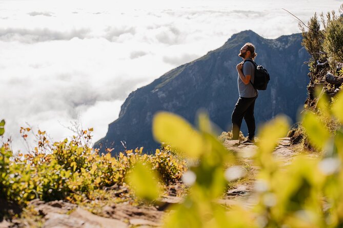 Sunrise Self-Guided Hike From Pico Do Arieiro to Pico Ruivo - Tour Experience