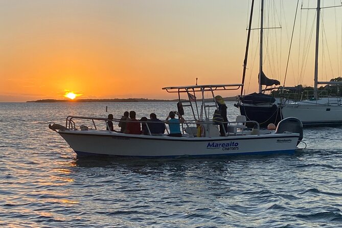Sunset and Biobay Swim Experiences - Meeting and Pickup
