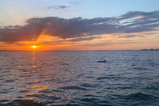 Sunset and Dolphin Cruise Around Fort Myers Beach - Meeting and Pickup
