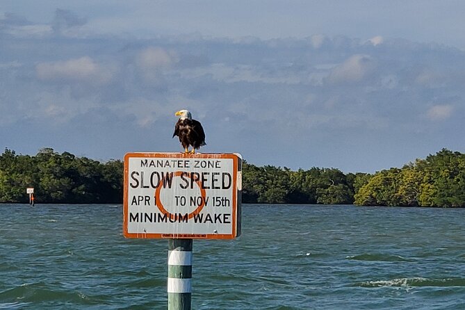 Sunset and Dolphin Tour, Fort Myers Beach and Sanibel Lighthouse - Inclusions