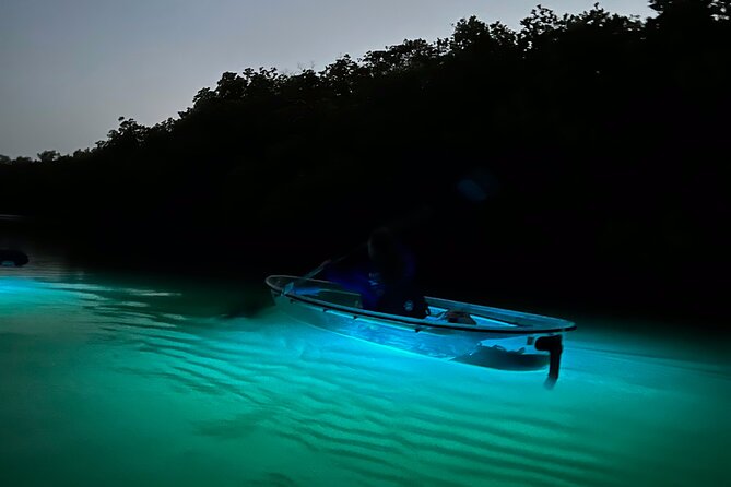 Sunset and Glow Clear Kayak Tour in North Naples - Meeting and Pickup Details