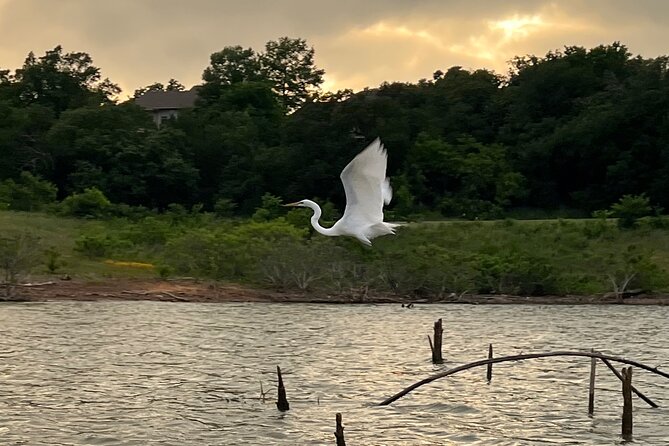 Sunset and Glow Guided Kayaking Tour Grapevine Lake - Tour Highlights