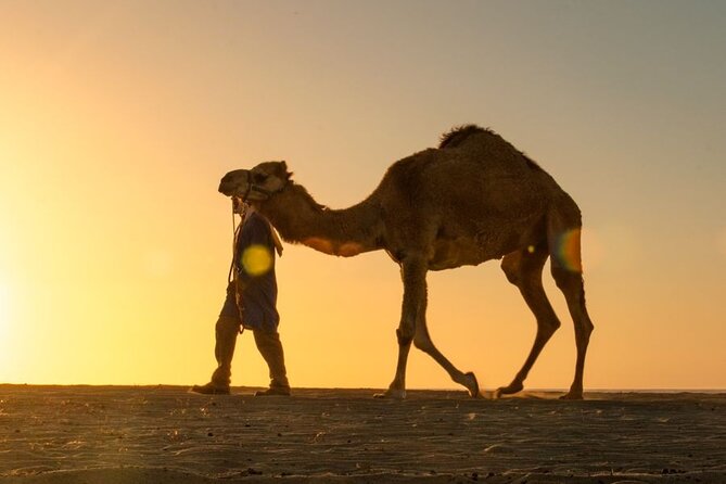 Sunset Beach Camel Ride With Mexican Buffet and Tequila Tasting - Traveler Requirements and Restrictions