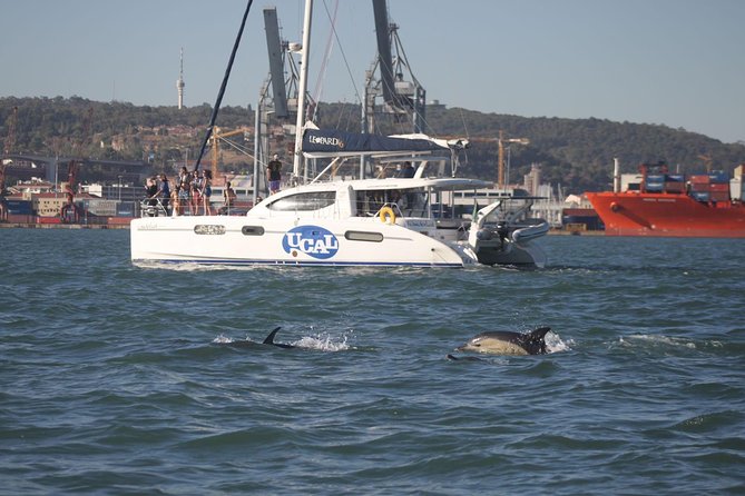 Sunset Catamaran in Lisbon Drinks and Music - Convenient Logistics and Meeting Points
