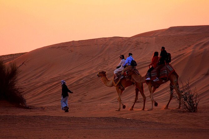 Sunset Evening Safari,Camel Ride,Live Shows and BBQ Dinner With No Hidden Charge - Camel Ride: A Unique Desert Adventure